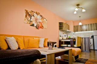 Sunflower Apartment City Center - Plovdiv - 9