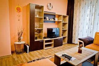 Sunflower Apartment City Center - Plovdiv - 8