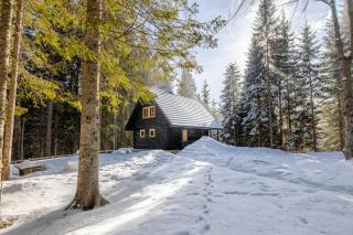Cosy Lodge Pokljuka - Goreljek - 0