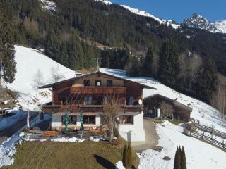 Apartment Gasthof Almluft-1 by Interhome - 2