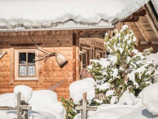 Holiday Home Lindenalm by Interhome - 6