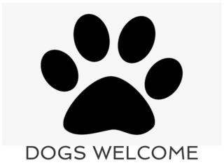 Idyllic Cottage near Padstow - 8