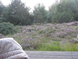 Holiday Home Felia - 500m from the sea by Interhome - Læsø - 9