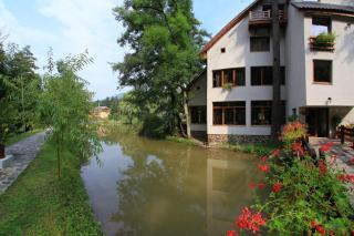 Guest house Lacul Linistit - 1