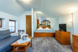 Hotel Jelínkova vila - Velké Meziříčí - 9