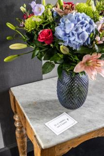 Vakantiewoning De Papaver - 2