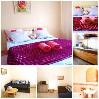 Апартаменти в центрі Львова - Личаківська, Госпіталь - 8