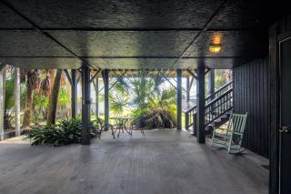 Green Parrot - Edisto Island - 8