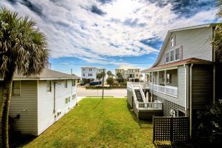 Green Parrot - Edisto Island - 4