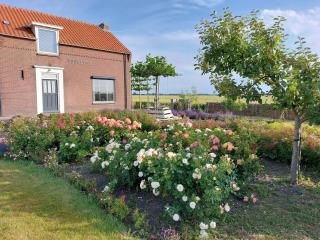 B&B Bouwmanshoeve - Burgh Haamstede - 5