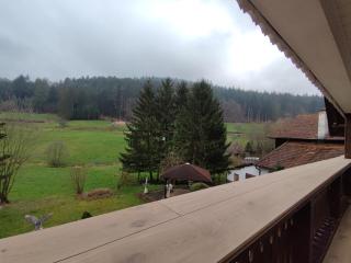 Geräumige Wohnung im Schwarzwald - Seelbach - 4