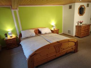 Geräumige Wohnung im Schwarzwald - Seelbach - 5