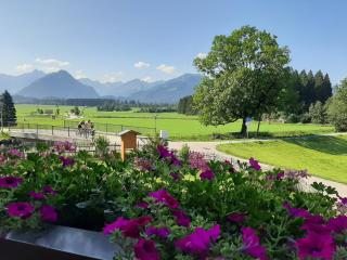 Landhaus Bergkristall - Sommer Bergbahnen inklusive - Oberstdorf - 2