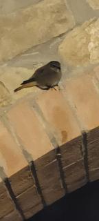 Casa Nolè - Santa Luce - 6