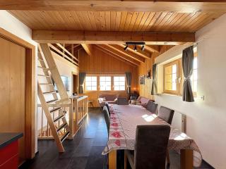 Tiny House facing the Alps - Ski in, Ski out - Anzère - 6