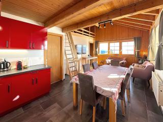 Tiny House facing the Alps - Ski in, Ski out - Anzère - 7
