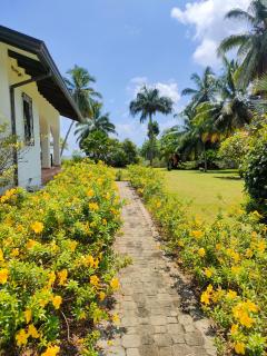 Villa Luana Yuna - Au Cap - 2