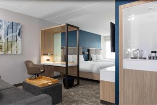 SpringHill Suites By Marriott Durham City View - 4