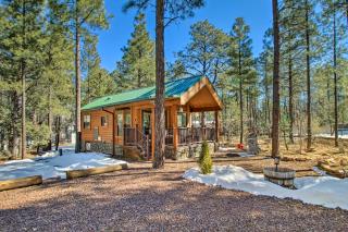 Lakeside Cabin with Fire Pit about 4 Mi to Show Low Lake - Lake of the Woods - 8