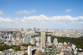 The Ritz-Carlton, Tokyo - 7