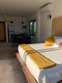 Luana Suites- Suite Aruma - Zihuatanejo - 7