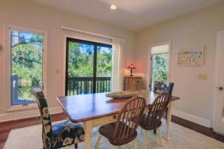 Surfscoter - Johns Island - 7