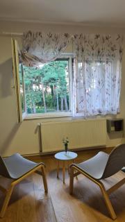Apartment Una - Bjelovar - 8