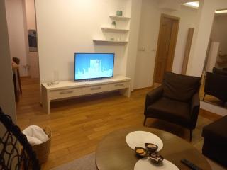 Vila Borova Zlatibor Apartman 501 - Zlatibor - 2