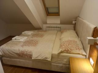 Vila Borova Zlatibor Apartman 501 - Zlatibor - 1