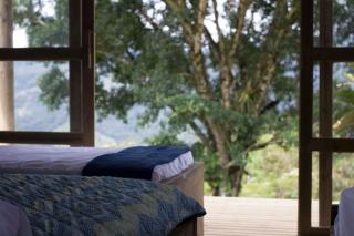 Camelia Hostel - San Carlos - 6