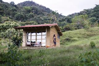 Camelia Hostel - San Carlos - 5