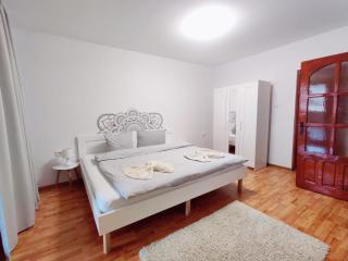 Penthouse Daniela - 3 Rooms in a Spacious Central Apartment - Târgu-Mureş - 8