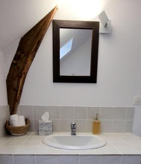 Le Petit Lavoir - Maison Cosy à Mayet - 3