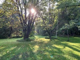 La Datcha 20 Acres Private Spa, with Pool, Jacuzzi & Wood Burning Sauna - Cookstown - 9