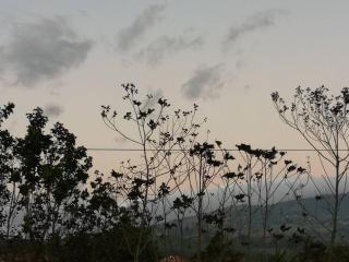 Casa del Eucalipto - Sabana Redonda - 2