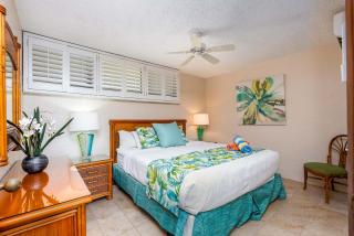 Papakea L207 Ocean Front 1 Bedroom condo - Kahana - 1