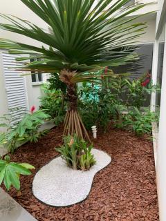 Lindo apartamento Praia de Palmas - 4