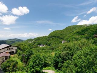 Hotel Iwasuge - Yamanouchi - 9