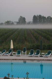 Tenuta Aganis - Palazzolo dello Stella - 7