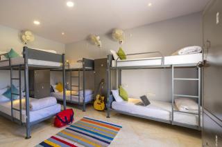 Zostel Homes Pushkar - 7