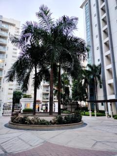 Condotel Pasay Newport Near Airport - Manila - 7