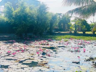 Le Jardin De Tam Coc - Ninh Binh - 5