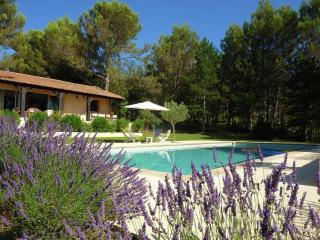 Villa in Saint-Siffret with Private Pool - Saint-Siffret - 4