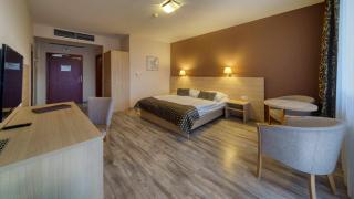 Wellness Hotel Patince - Patince - 8