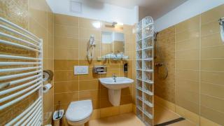 Wellness Hotel Patince - Patince - 1