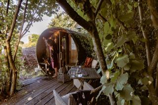 Vakantiewoning op Natuurterrein t Heuvelhof met optioneel hottub en sauna - Heuvelland - 5