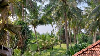 Bandulas Beach House - Hikkaduwa - 4