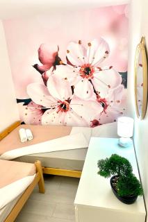 Apartment Beshtie - 9