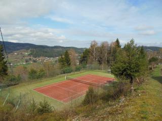 Chalet les moraines 8 - Le Tholy - 1