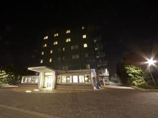 Hotel Montini Linate Airport - Peschiera Borromeo - 3